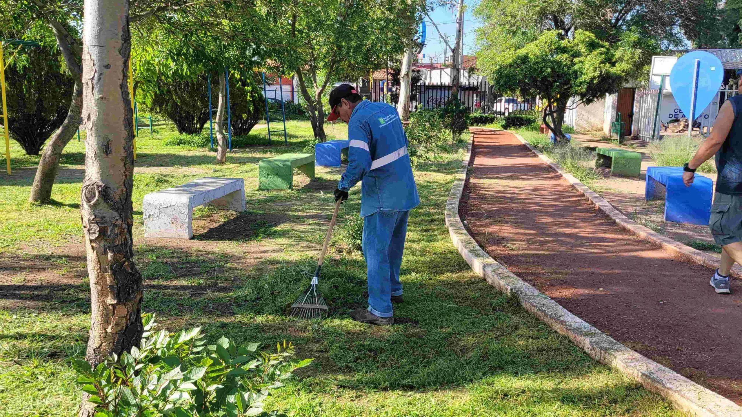 Licitarán mantenimiento de parques y jardines a empresas privadas