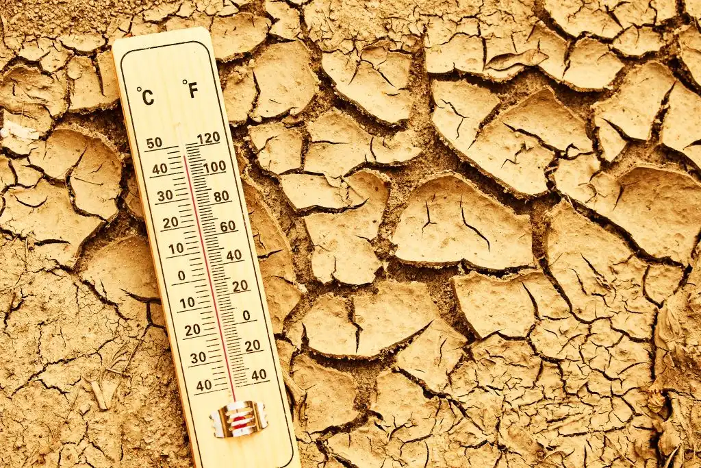 Calor extremo niños