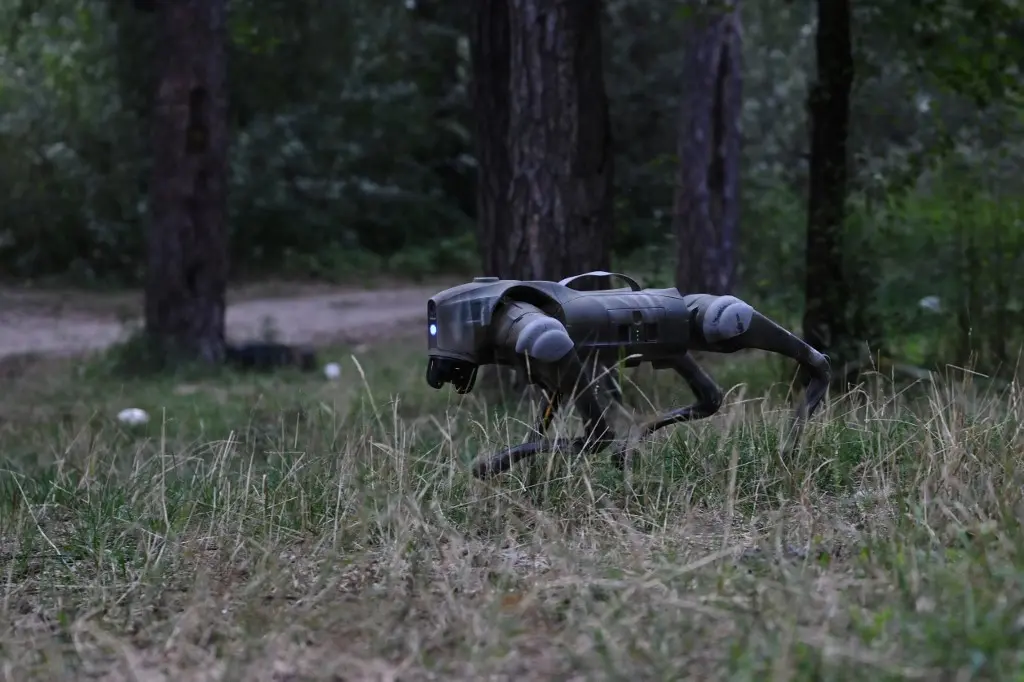 Perros robot
