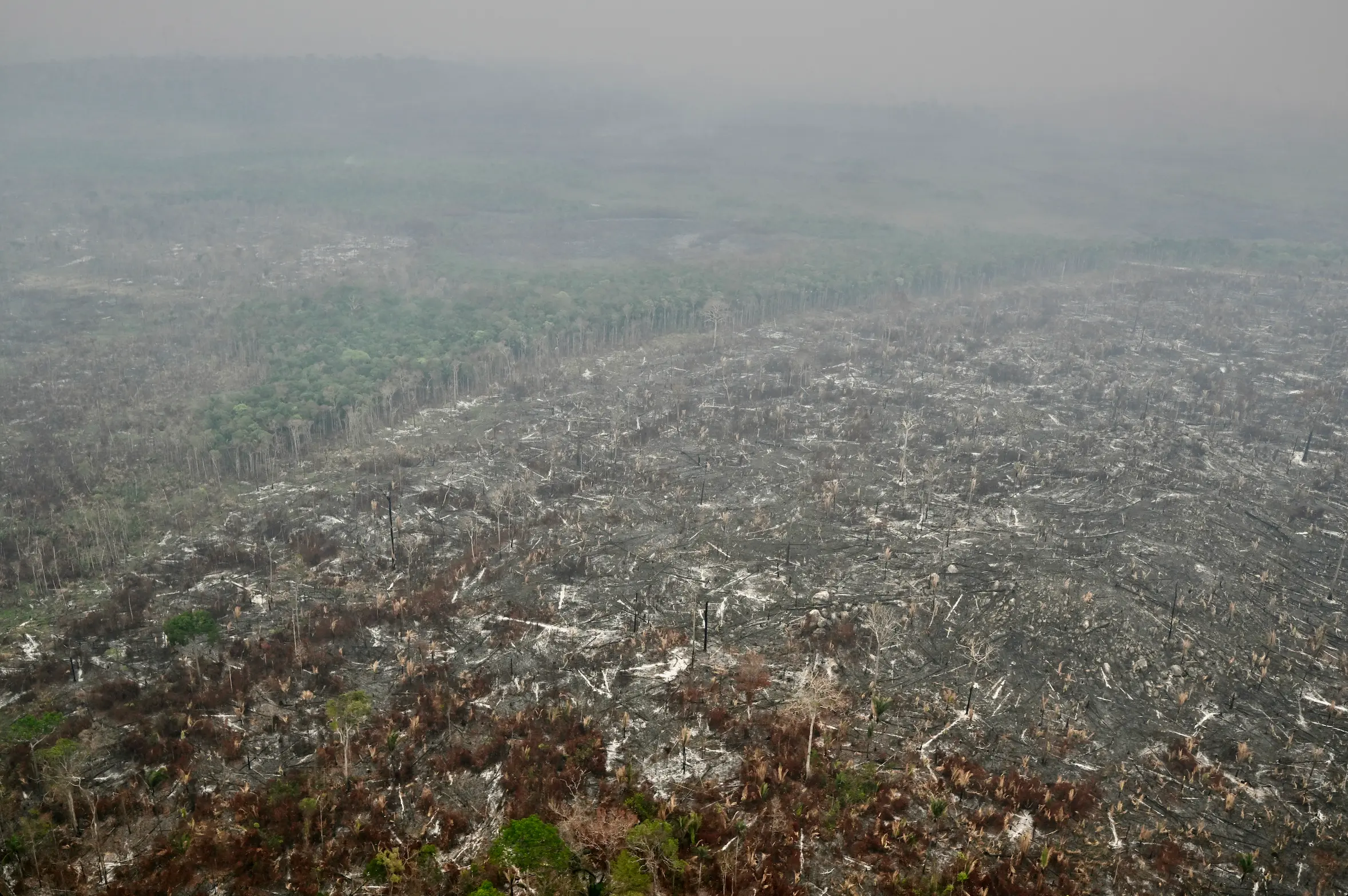 La selva amazónica bajo humo