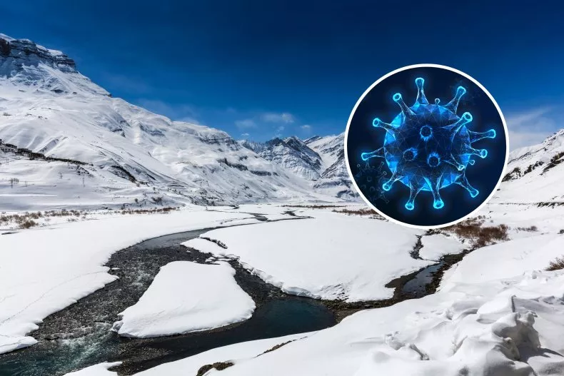 Virus desconocidos hielo
