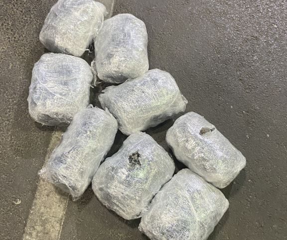 CBP atrapa a contrabandistas de pepino de mar en Calexico