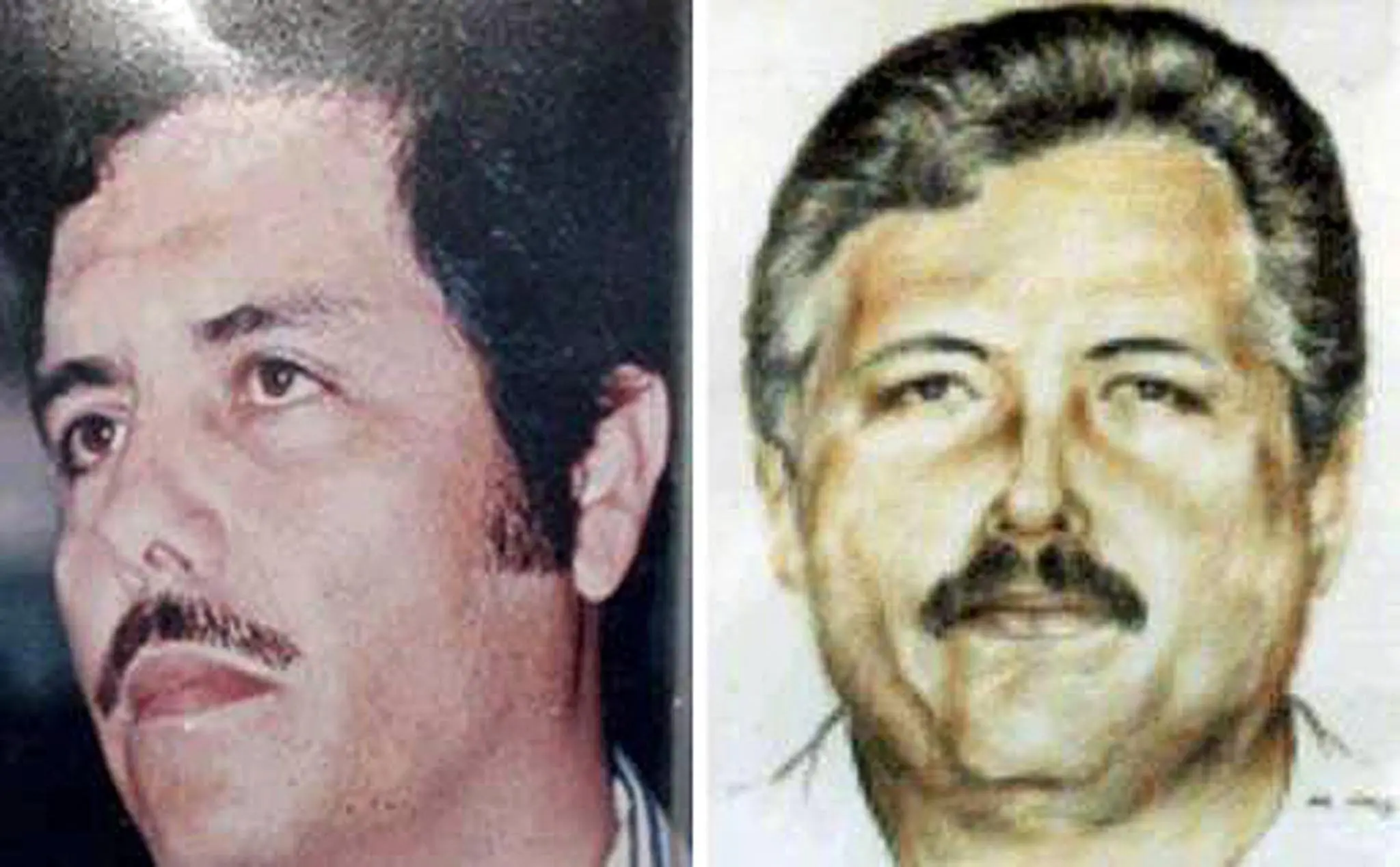 Zambada México