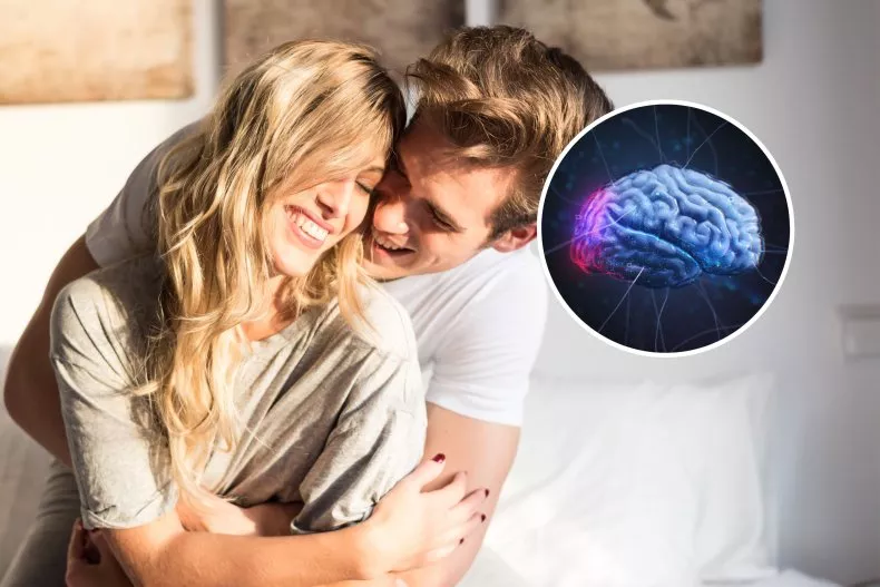 ¿En qué parte del cerebro vive el amor? La ciencia lo explica