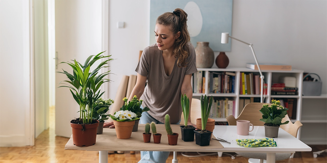 La tendencia de los millennials de criar plantas alcanza a la generación Z