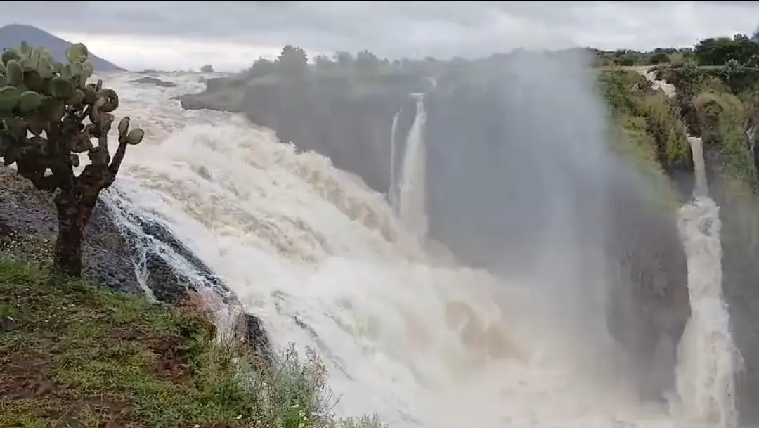 Presa Caboraca