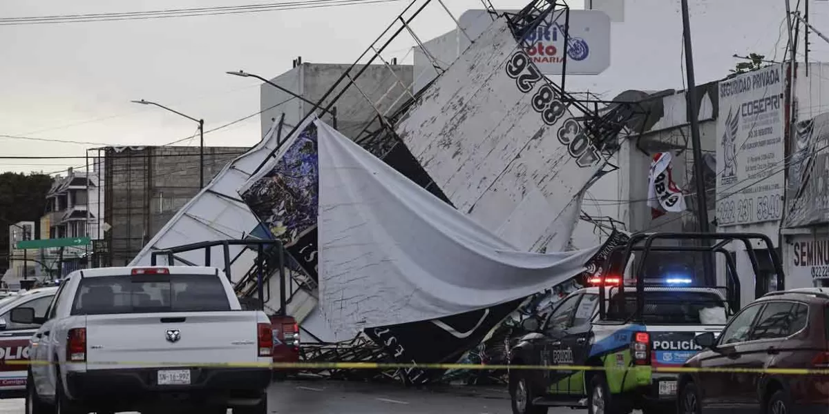 Inundaciones y árboles caídos por tormenta en Puebla