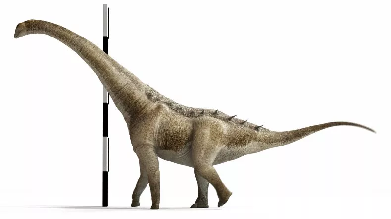 dinosaurio especie