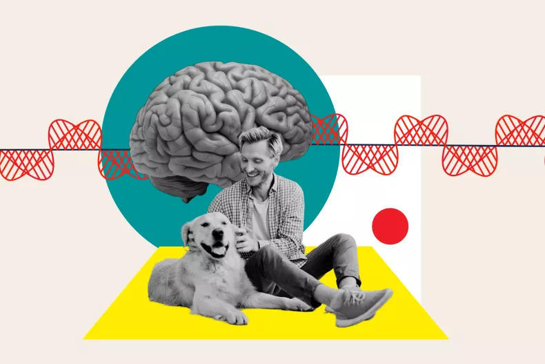 De esta forma tu perro puede modificar tu cerebro