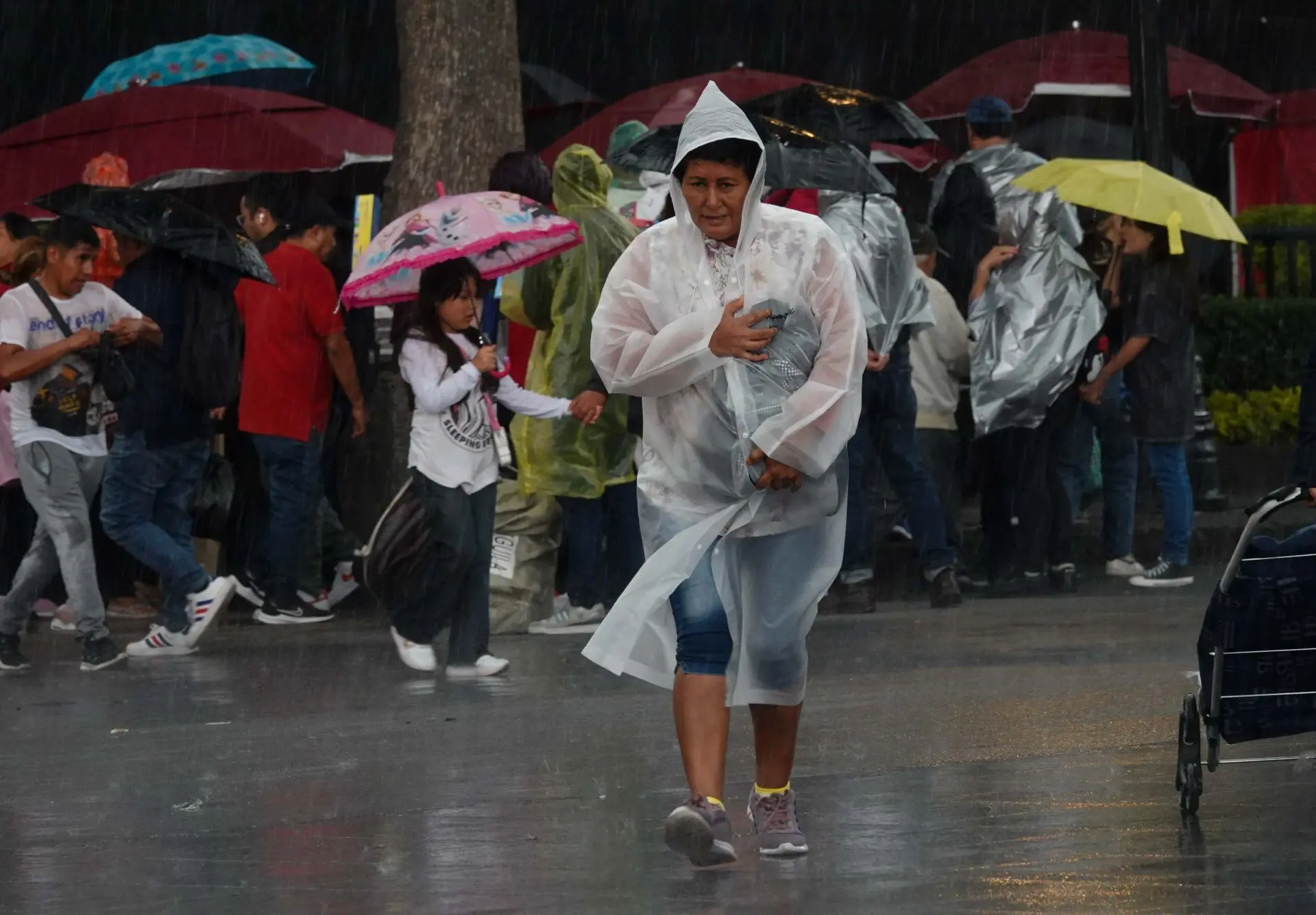 Tormenta tropical John: ¿dónde está y hacia dónde se dirige?
