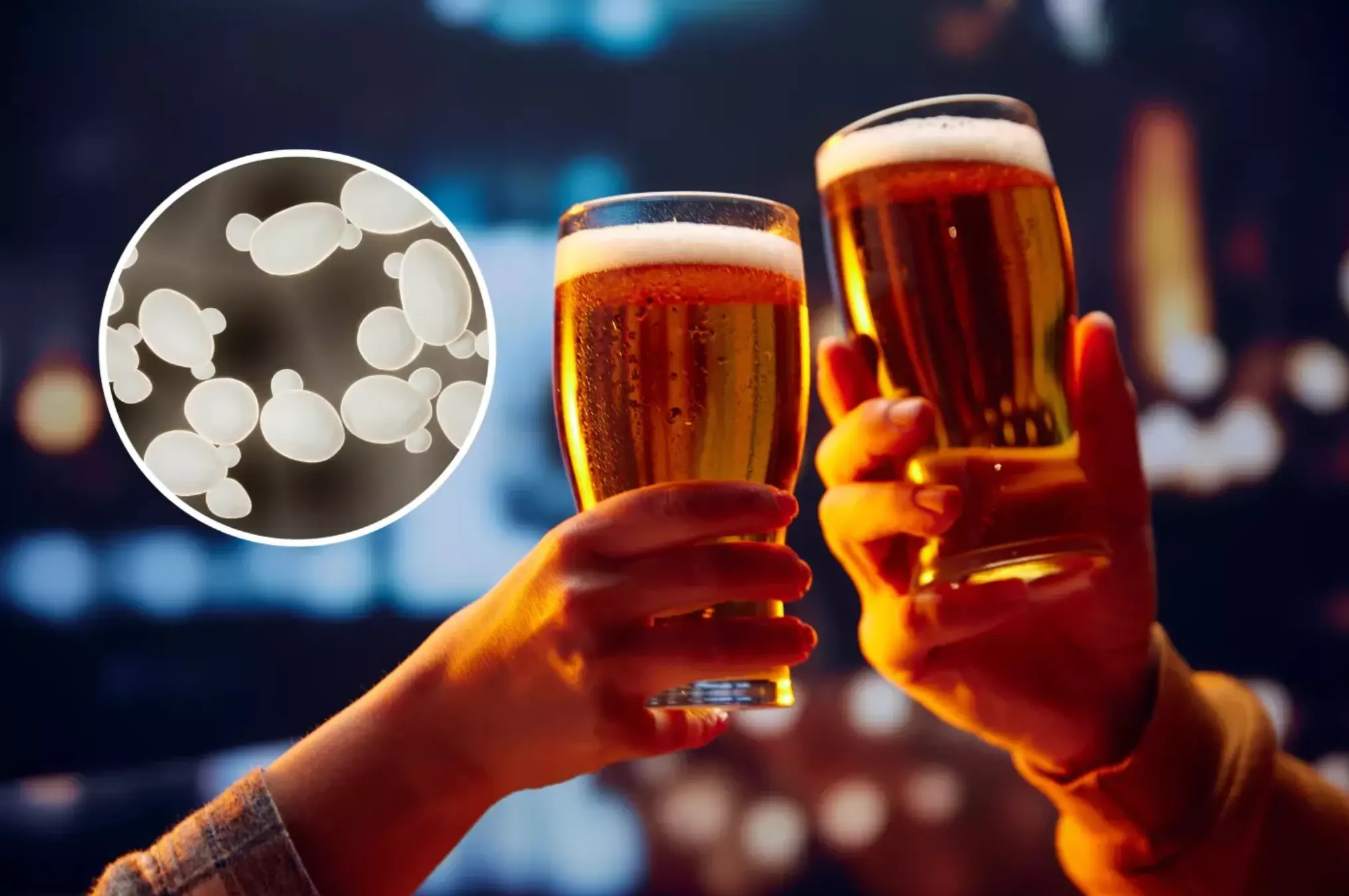 La cerveza es más saludable de lo que se cree, según expertos