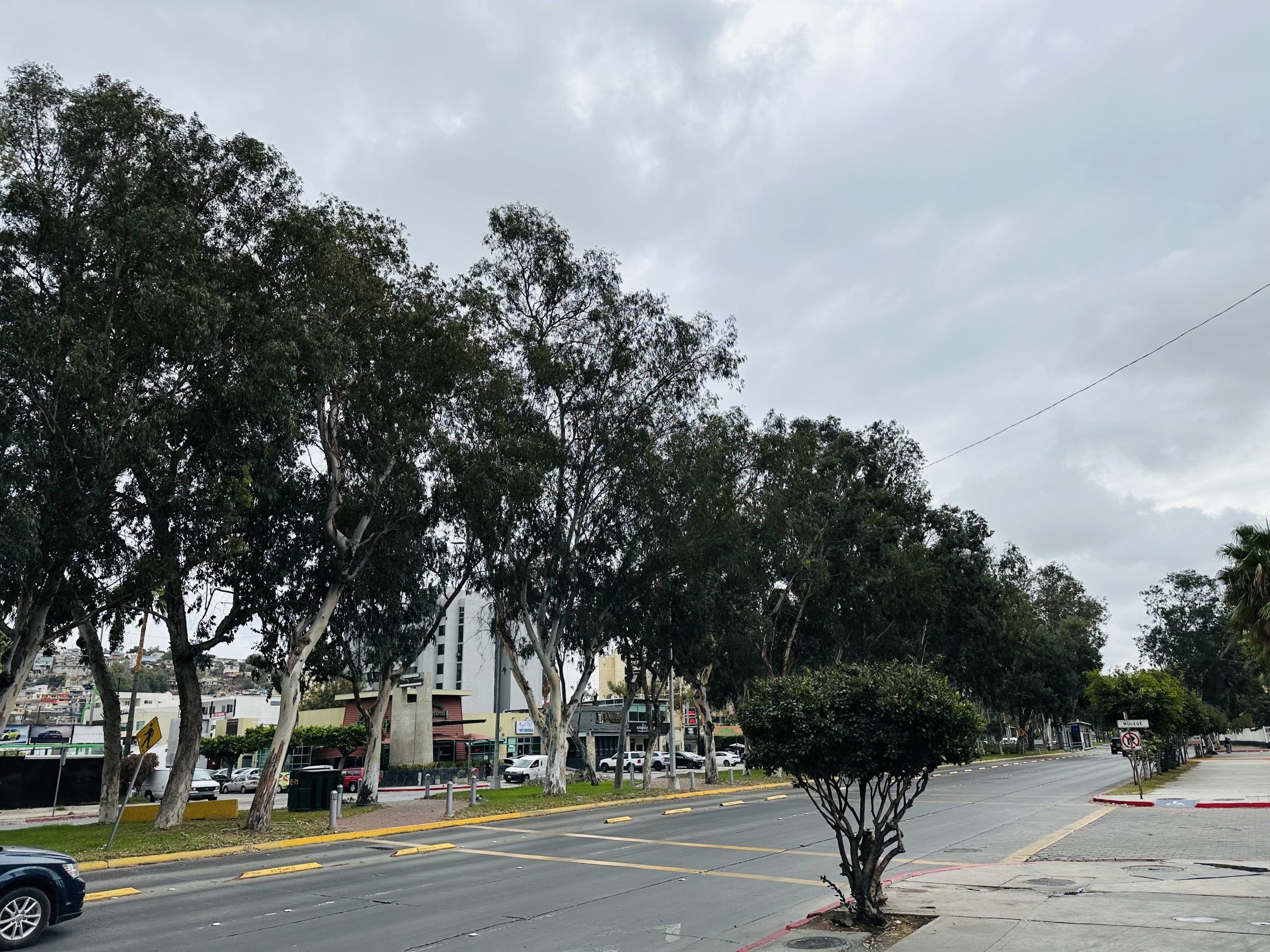 Descenso de temperaturas y lloviznas para Tijuana.