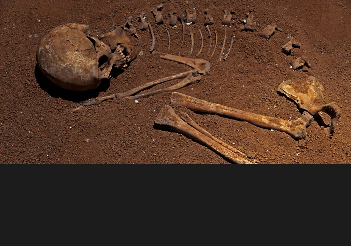 Descubre el Inframundo en el Museo de la Muerte de Aguascalientes