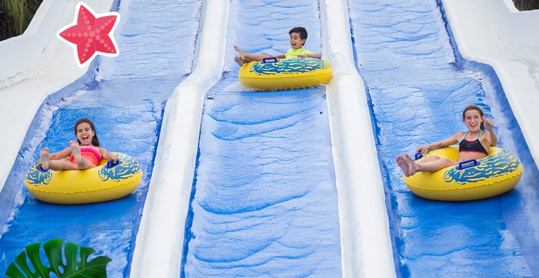 Toboganes, albercas y cabañas: ¡Anuncian llegada del Parque Acuático Splash a Aguascalientes!