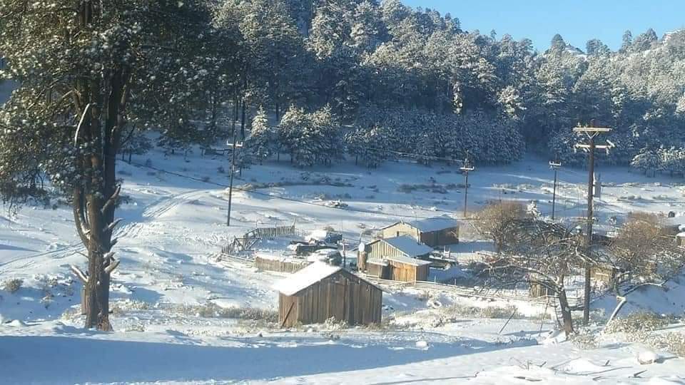 “El congelador de México”: La Rosilla, en Durango, registra temperaturas de -15 grados