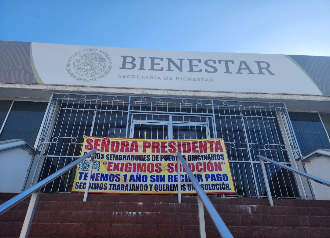Productores beneficiados por Sembrando Vida en Durango denuncian falta de pagos 