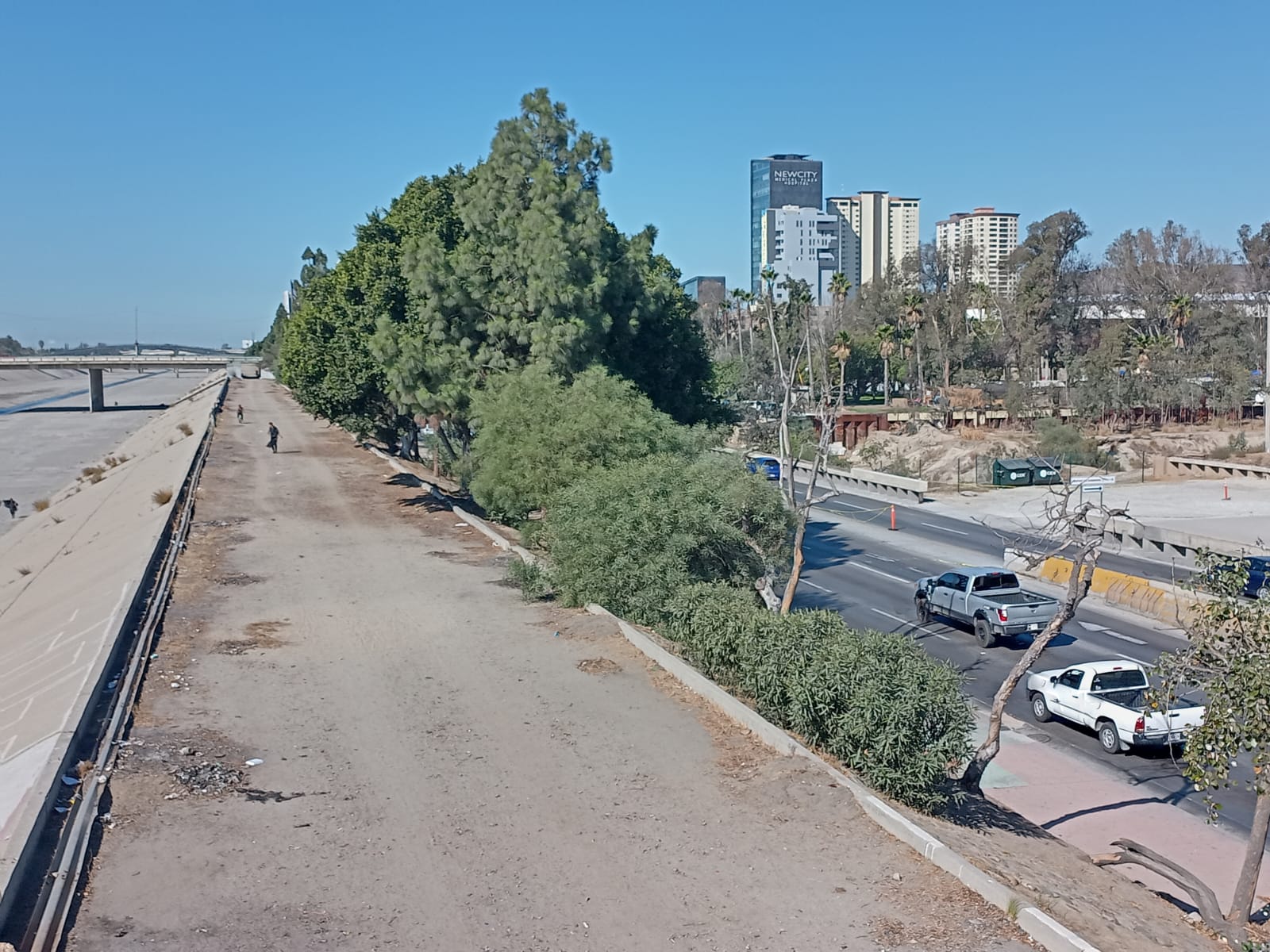 Opciones para reforestar Vía Rápida de Tijuana no han sido tomadas en cuenta por autoridad