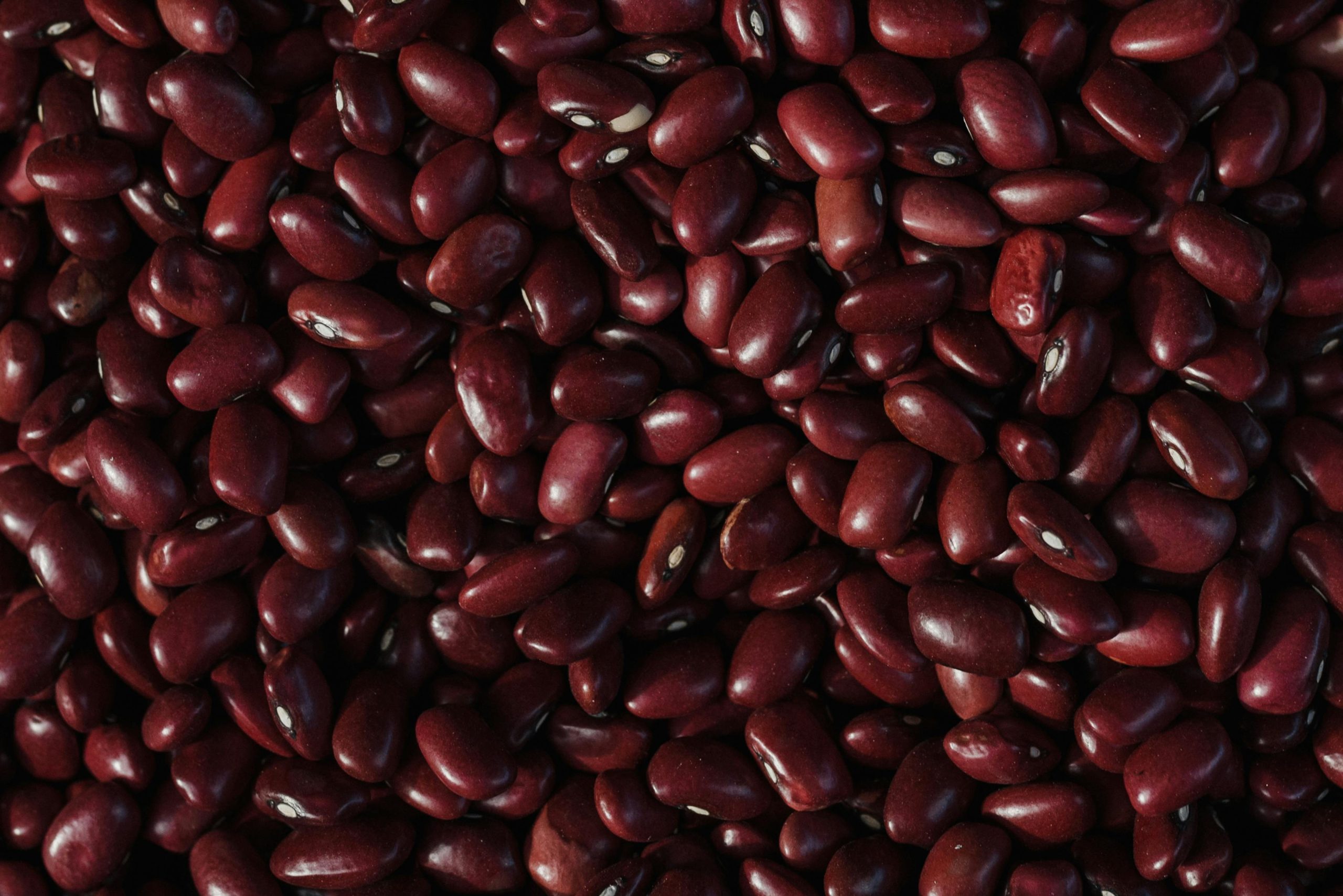Los frijoles son considerados un superalimento.
