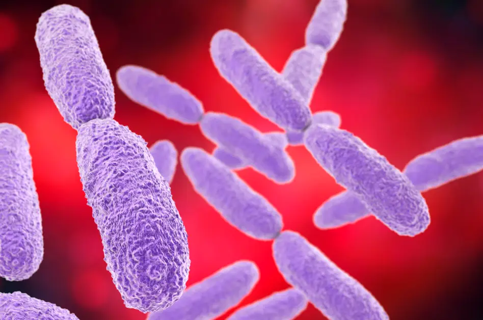 ¿En qué consiste la bacteria Klebsiella oxytoca que ya mató a 13 niños en México?