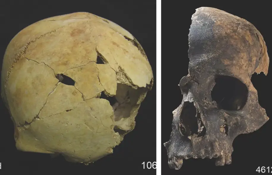 El canibalismo en la Edad del Bronce &#8216;arroja luz sobre el lado oscuro del comportamiento humano&#8217;