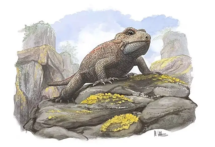 Especie desconocida