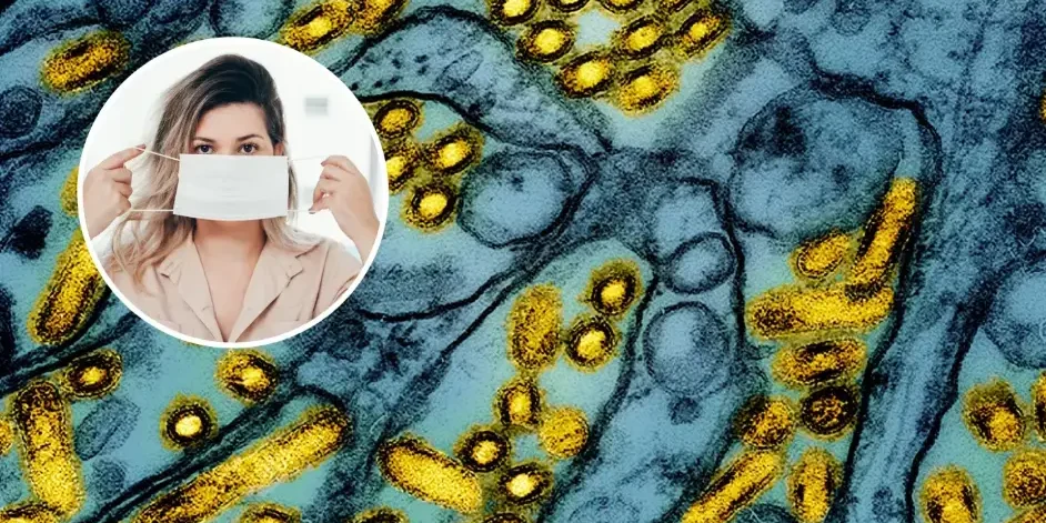 Una mutación del virus H5N1 de la gripe aviar desencadenaría una pandemia en humanos