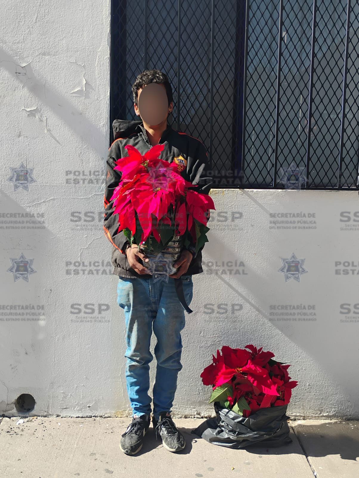 Se siguen robando las nochebuenas: detienen a otros dos sujetos 