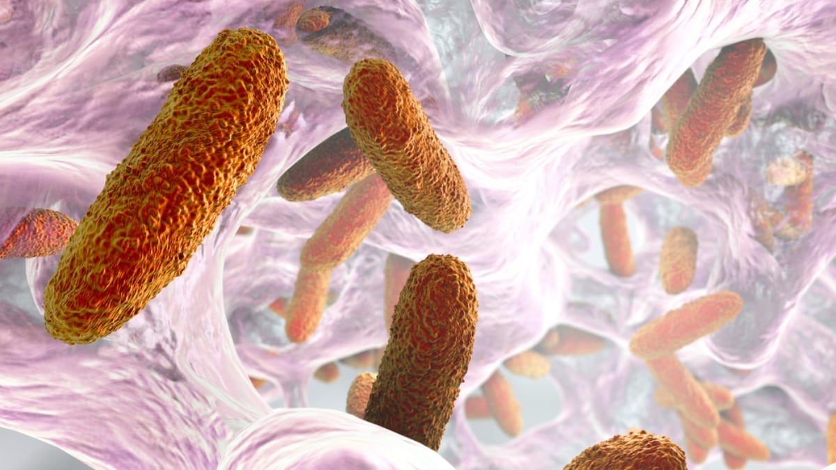 Continúa investigación por casos de bacteria que afectó a bebé en Guanajuato