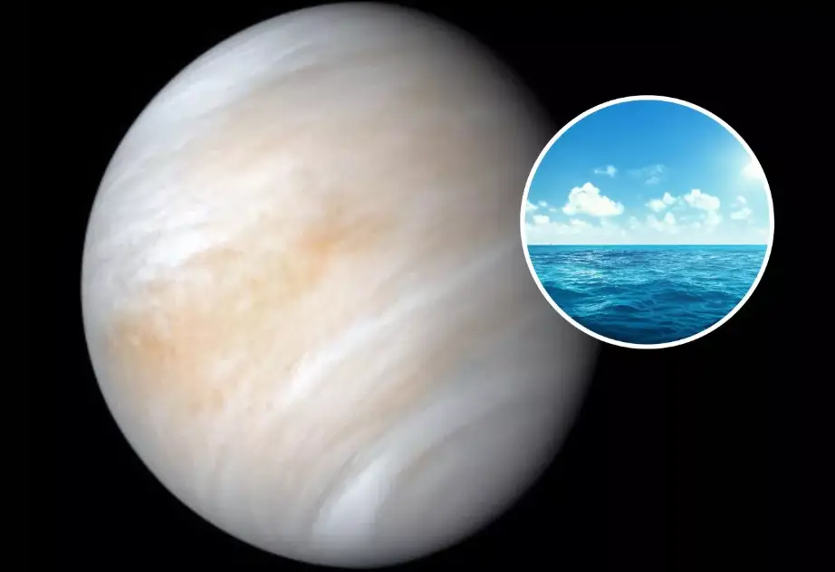venus habitable