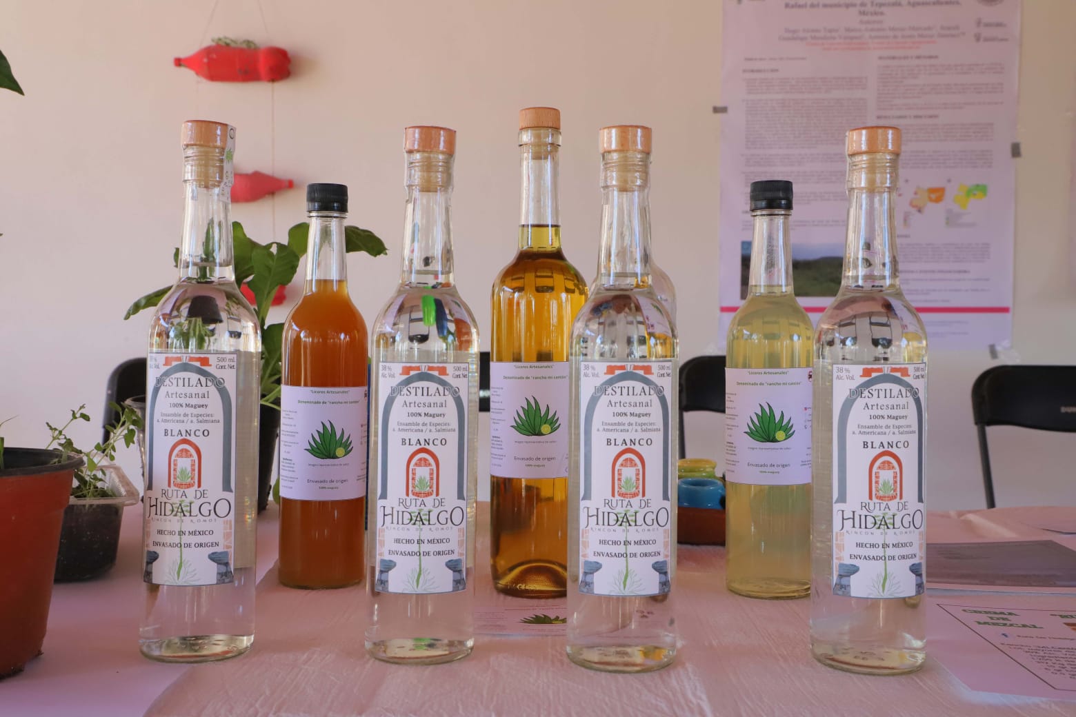 Mezcal de cempasúchil, dulces y rompope: UAA va por fortalecer la economía campesina de Aguascalientes