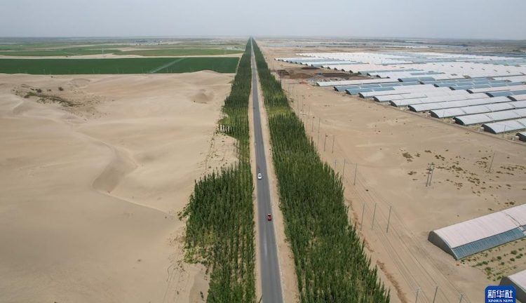 El cinturón verde de China es tan extenso como la frontera entre México y Estados Unidos.