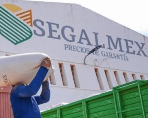 Segalmex aún debe millones a productores duranguenses desde noviembre