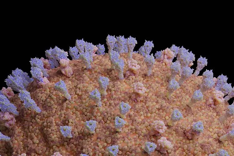 Aguascalientes registra su primer caso de Metapneumovirus
