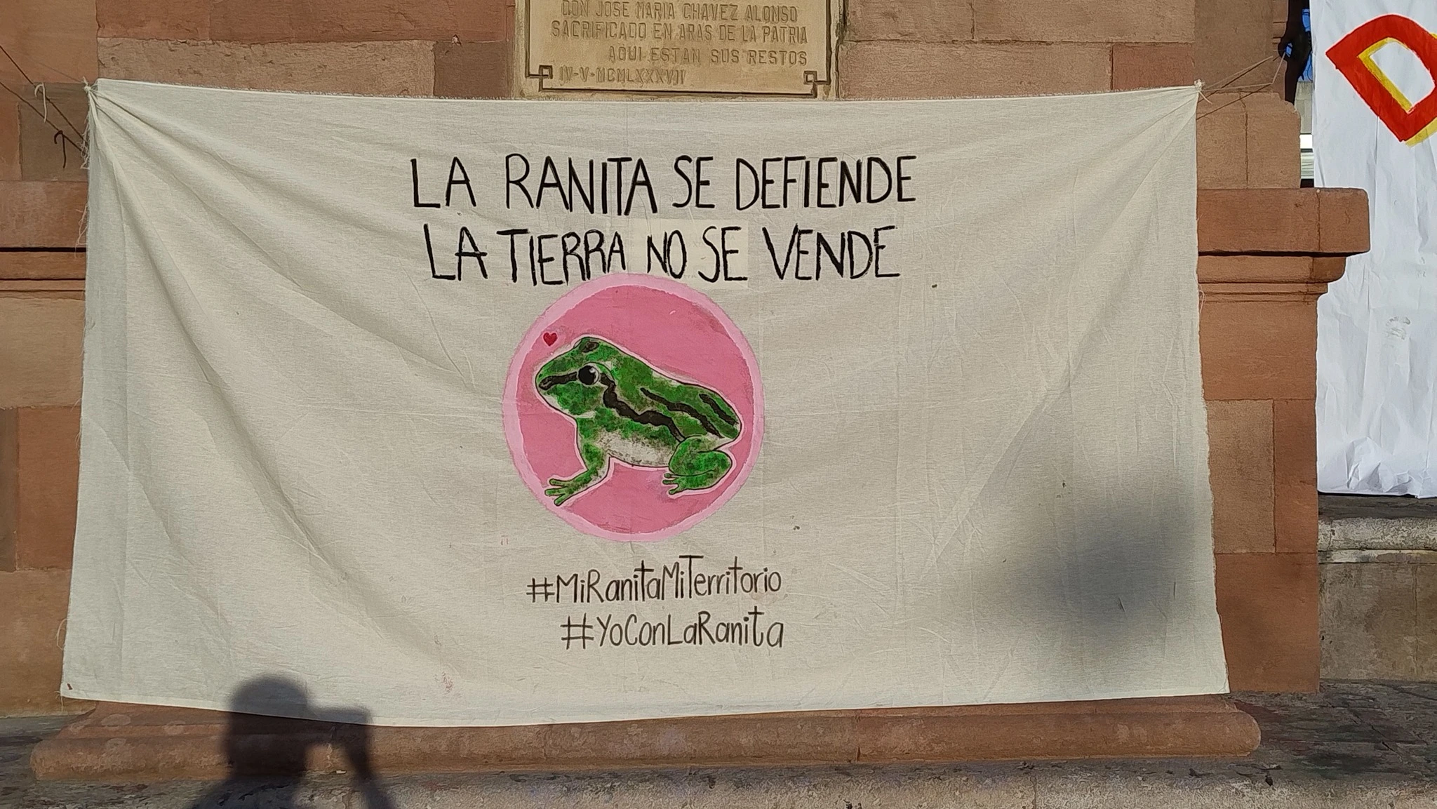 Se plantan por la conservación de la rana de madriguera
