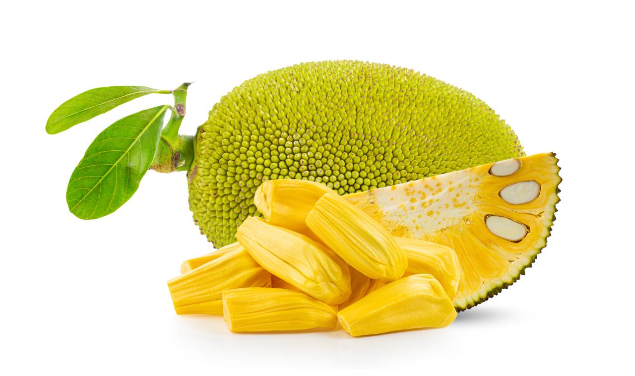 La yaca también es conocida como jackfruit