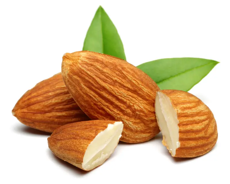 Las almendras son un recurso alimenticio importante en una dieta.