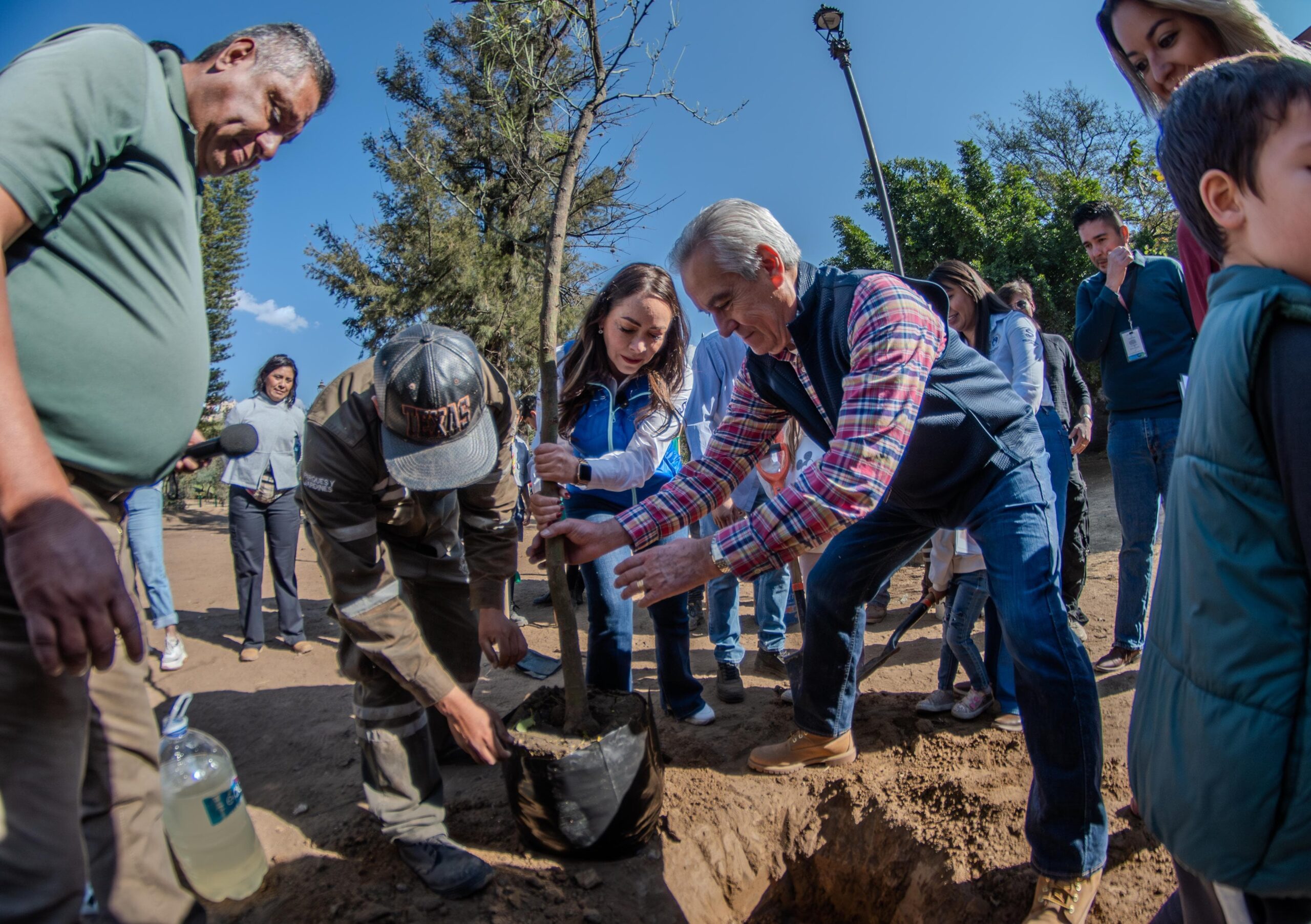 Fomentan en Guanajuato capital acciones de reforestación