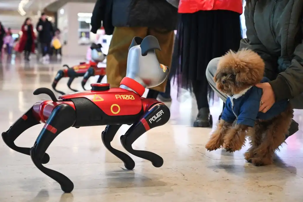 Robot mascota