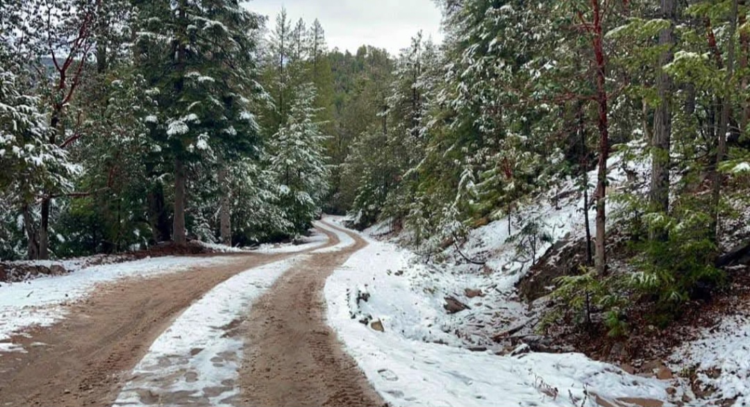 ¿Nevará en Durango? Este es el pronóstico por la segunda tormenta invernal