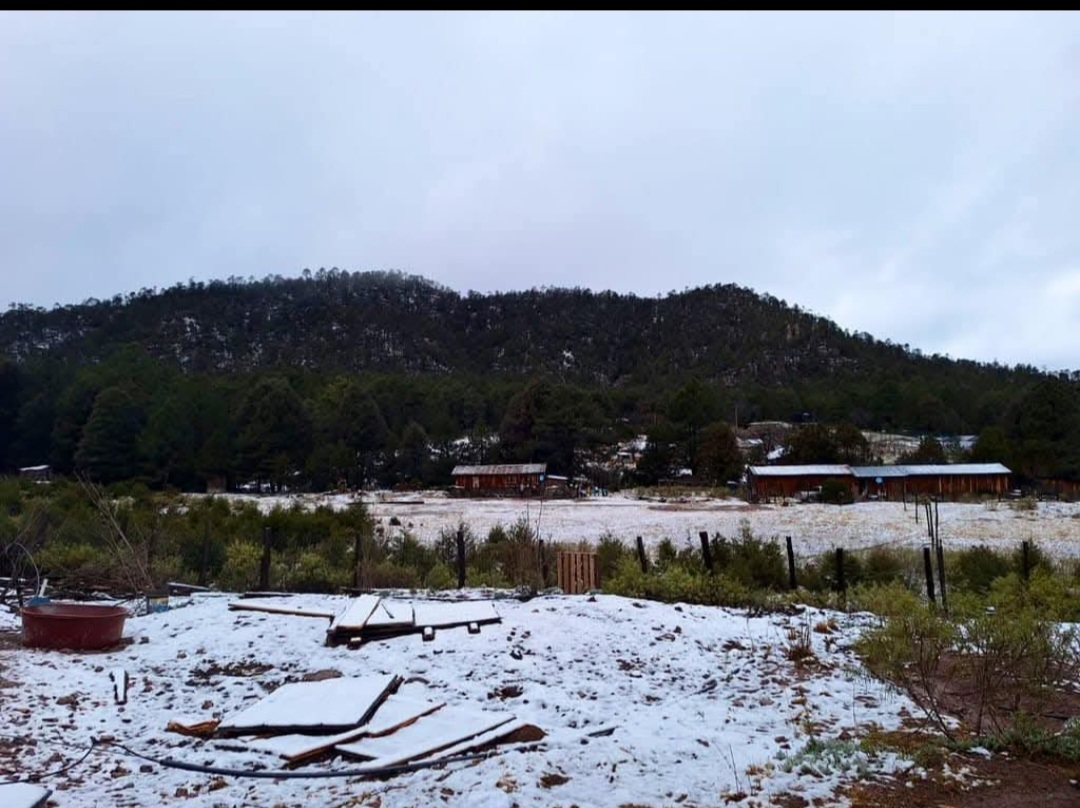 ¿Suspenderán clases en Durango? Hasta 22 municipios esperan nieve
