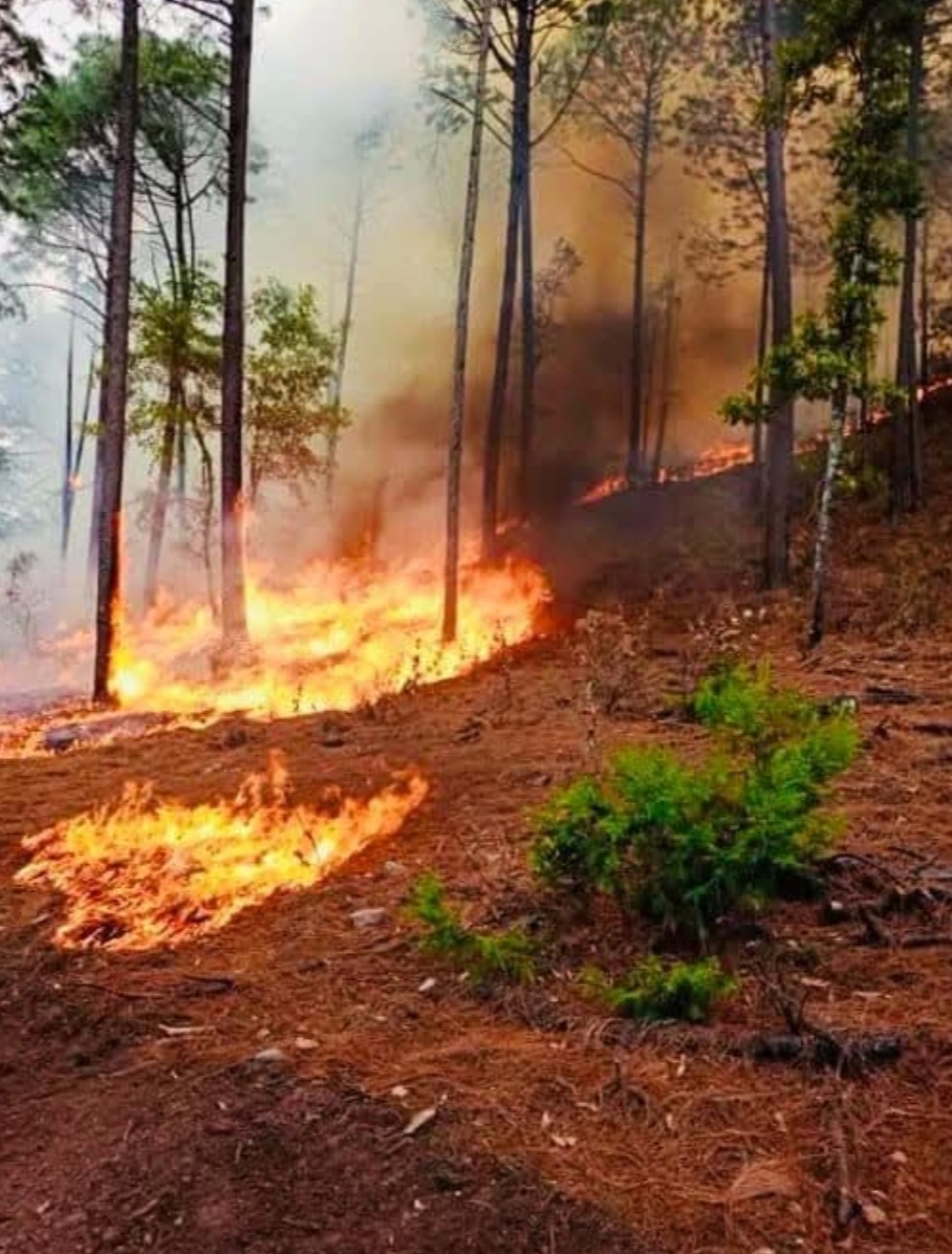 Cierre de 2024 con incendios forestales sin precedentes en Durango