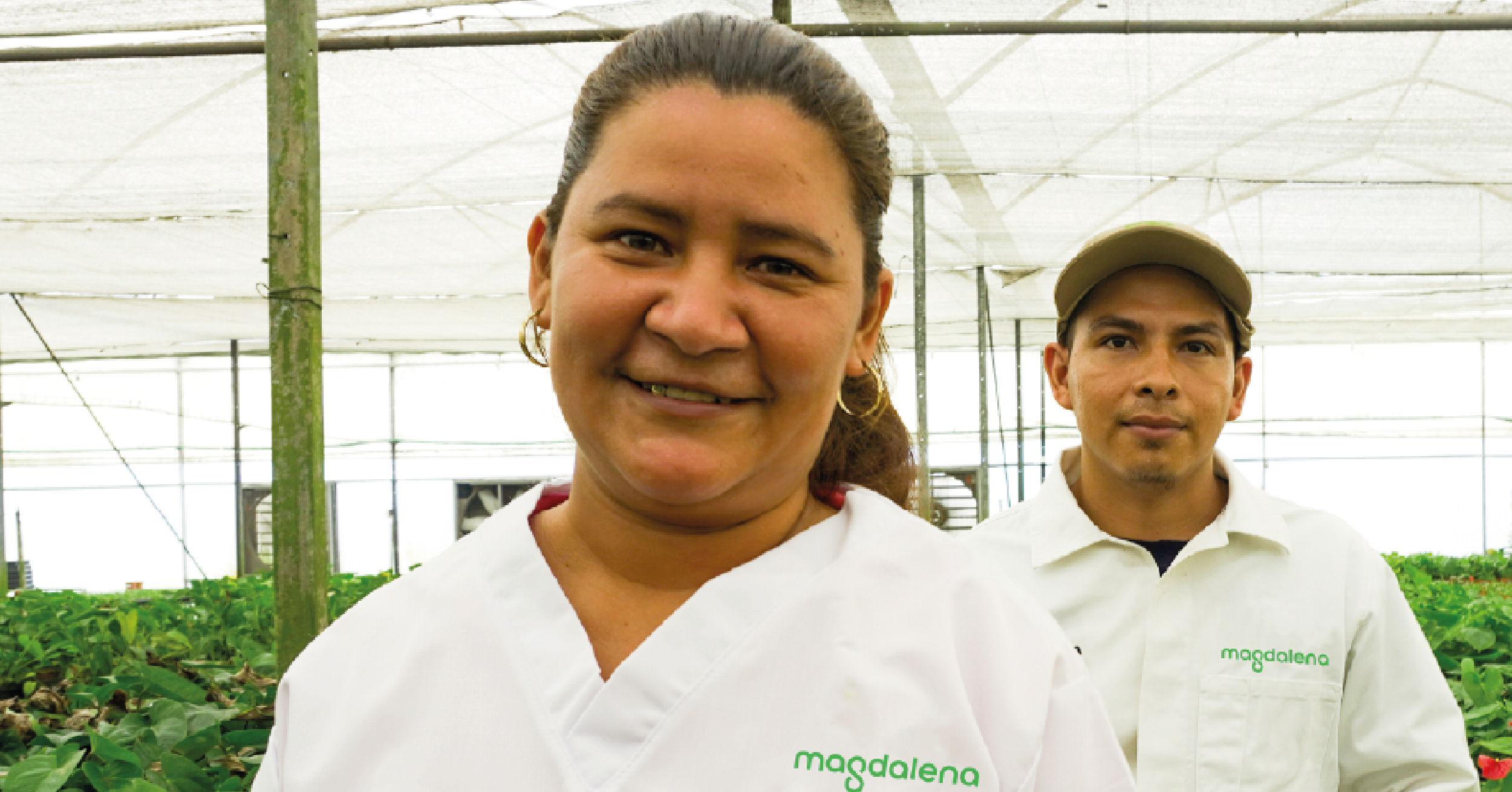 Ingenio Magdalena mantiene un crecimiento sostenible