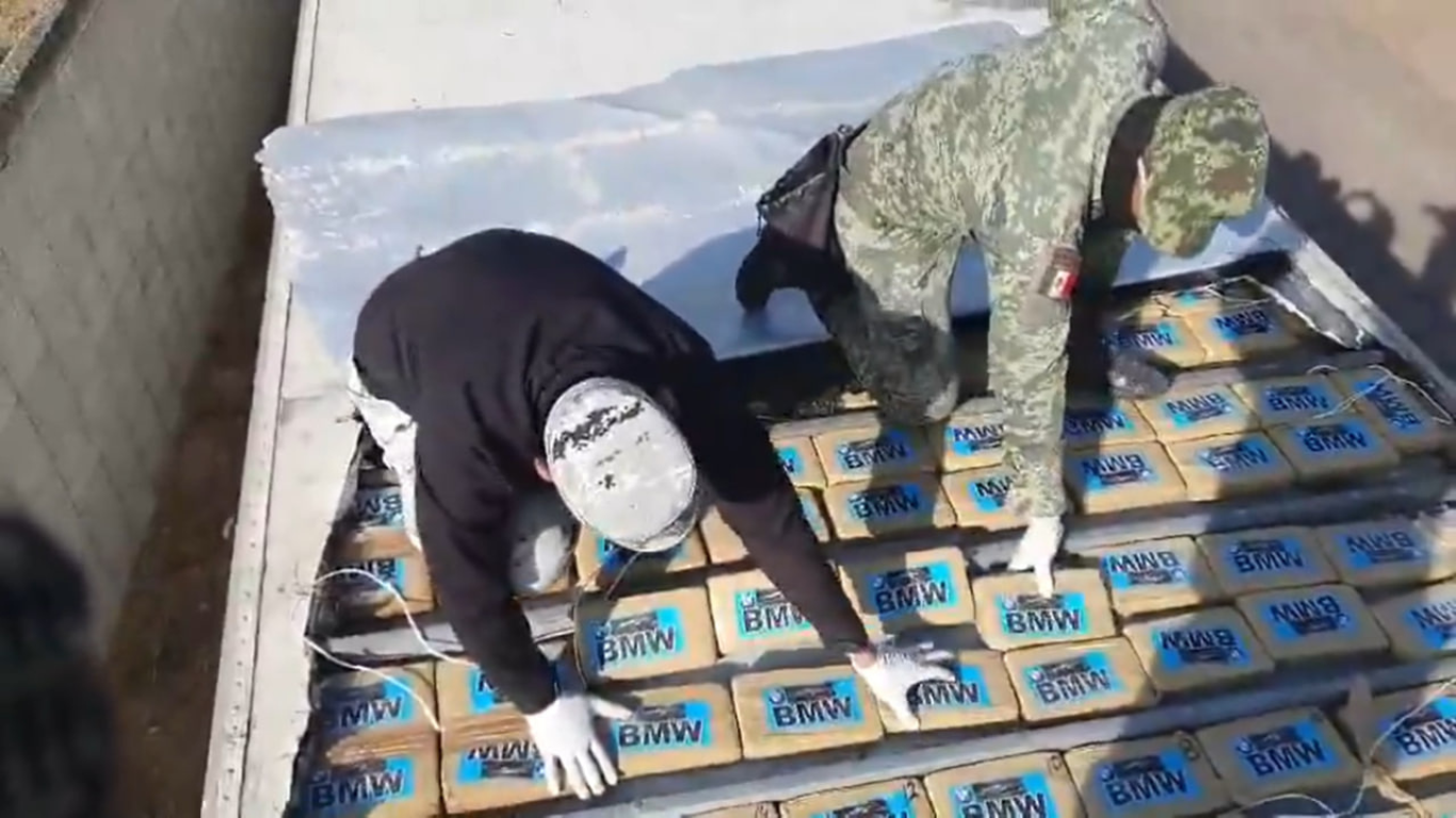 Decomisan casi 300 paquetes de droga en Celaya: valor ascendía a 70 mdp