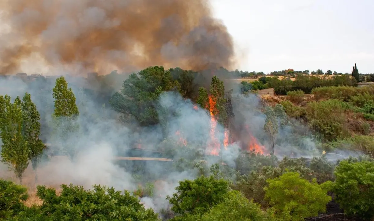 Municipio descarta intervención inmobiliaria en áreas afectadas por incendios