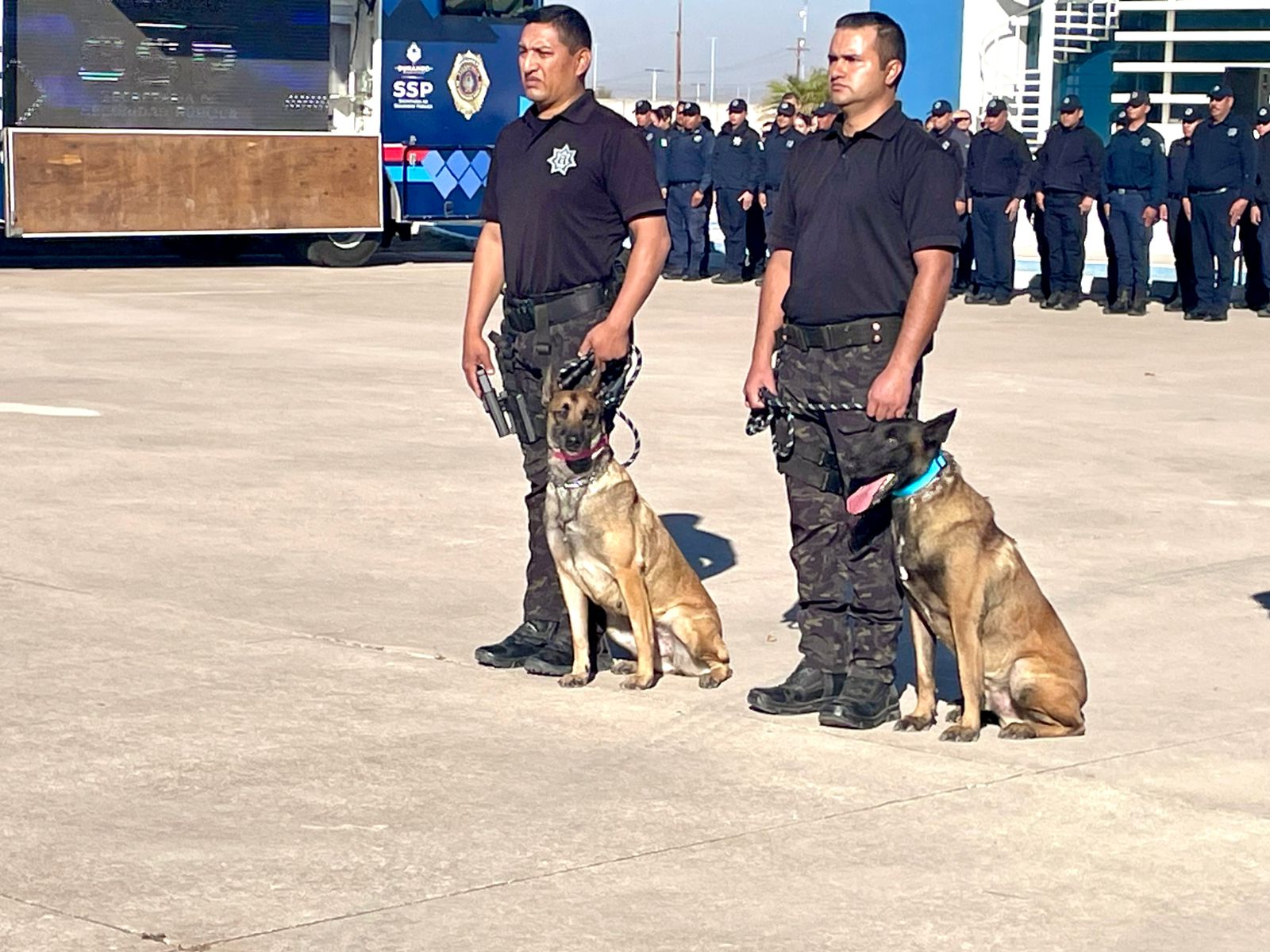 UMA y AS, los perritos policía que se retiran de la unidad canina