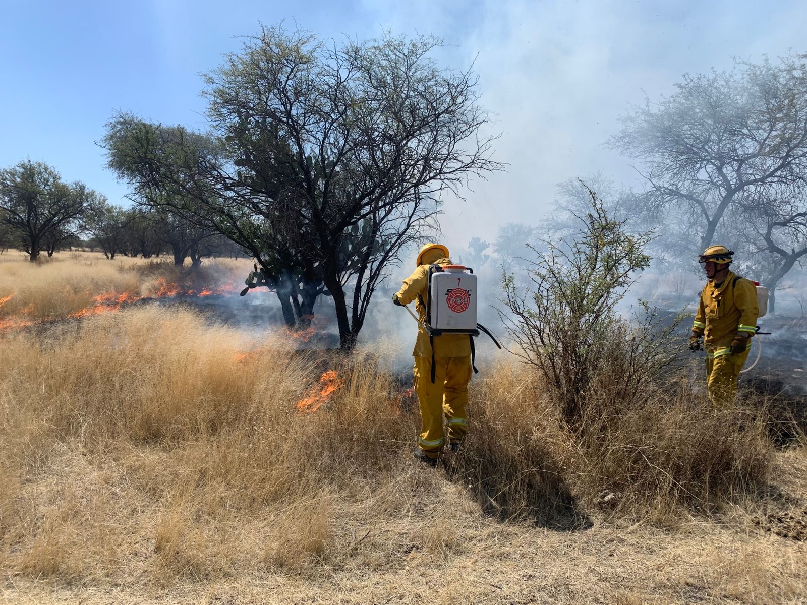 Van casi 500 incendios de pastizales este año en Aguascalientes