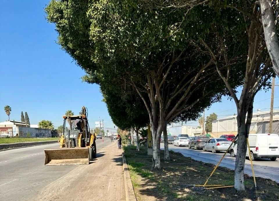 Intensifican jornadas de limpieza y retiran 12 toneladas de basura
