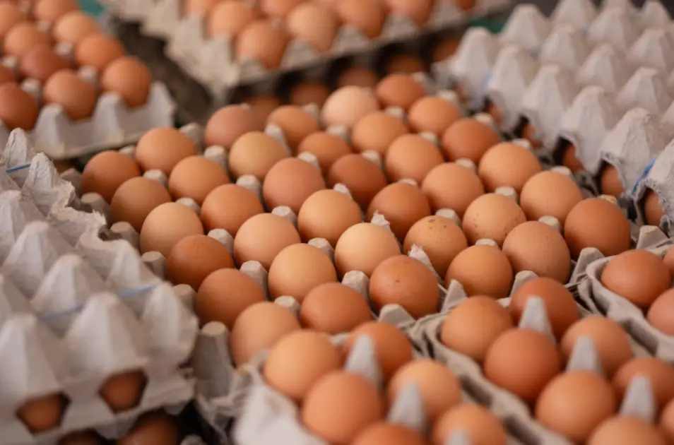 crisis huevos