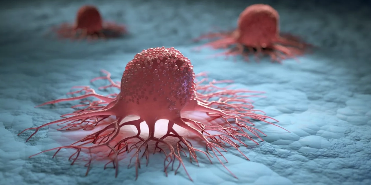 Científicos de Corea del Sur descubren una forma de revertir el cáncer