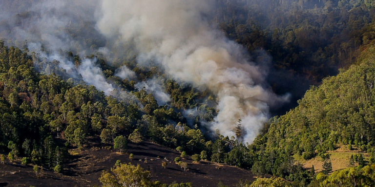 Pese a incendios constantes, pocos delitos ambientales se denuncian en Aguascalientes